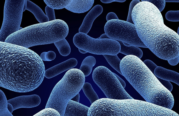 مقاومت باکتریها در برابر آنتی سپتیک حاوی کلرهگزیدین
